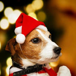 Christmas Santa Claus Dog/Cat Hat